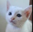 Bob