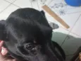 Úrsula