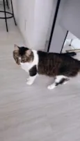 Tom