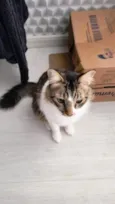 Tom