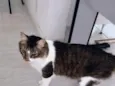 Tom