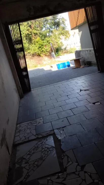 Cachorro raça Shitzu idade 7 a 11 meses nome thor