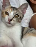 Kiara 