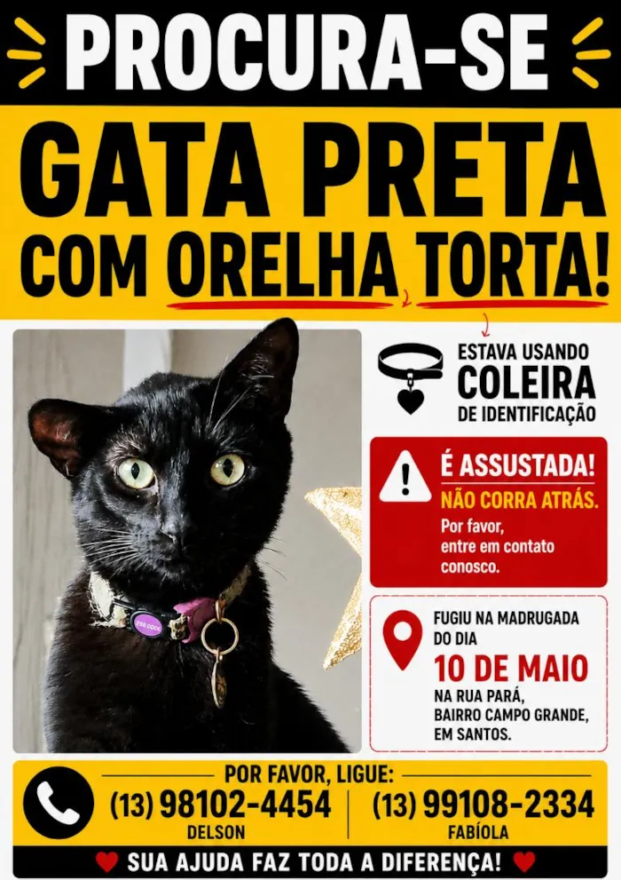 Gato raça SRD-ViraLata idade 3 anos nome Jade