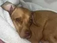 Lucky