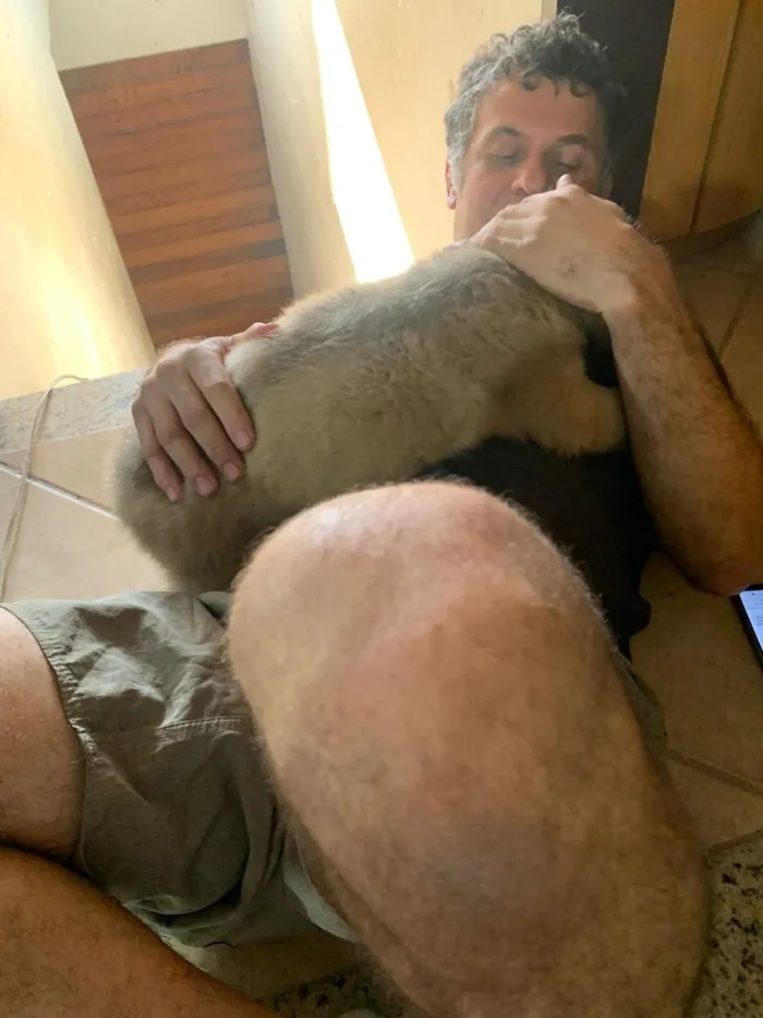 Cachorro raça SRD-ViraLata idade Abaixo de 2 meses nome bolinha 