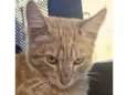 Emilio 