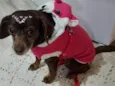 Mel