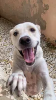 Charlie