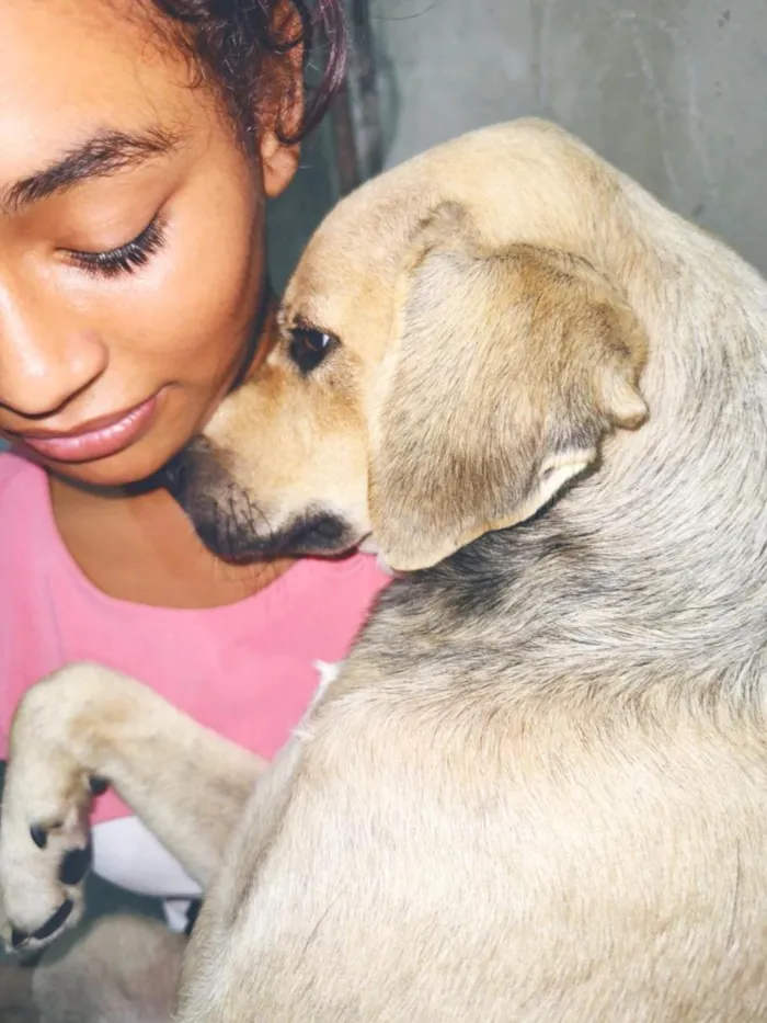 Cachorro raça SRD-ViraLata idade 7 a 11 meses nome Atenas e Athos 