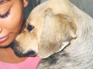 Cachorro raça SRD-ViraLata idade 7 a 11 meses nome Atenas e Athos 