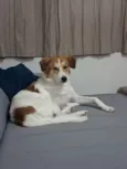Maylo