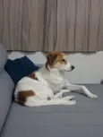 Maylo