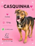 Casquinha