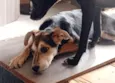 Tula