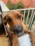 Fiona