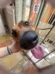 Fiona