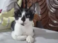 José