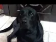 Billy