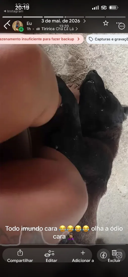 Cachorro raça SRD-ViraLata idade 2 anos nome Poze