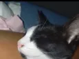 Toji