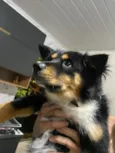 Spike
