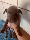 não tem 