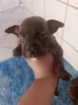 não tem 