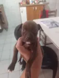 não tem 