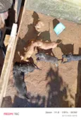 eles não tem nome