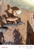eles não tem nome