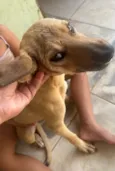 Gabriel 