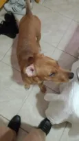 Sid