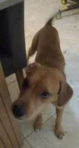 Sid