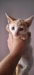 Peter