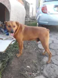 Princesa e Chocolate