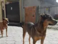 Princesa e Chocolate