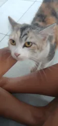 Mel