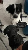 RJ e SP