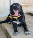 Zeus