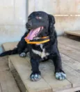 Zeus