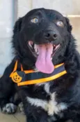 Zeus