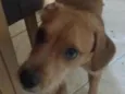 Sid