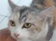 Mel