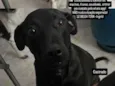 RJ e SP