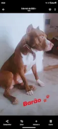 barão 