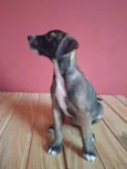 Apolo e Pandora 