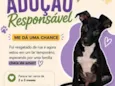 sem nome