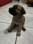 Theo