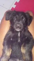 nala